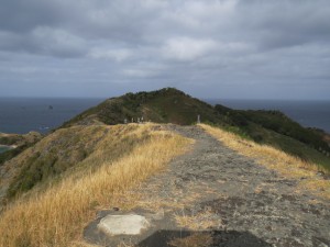 IMG_3999